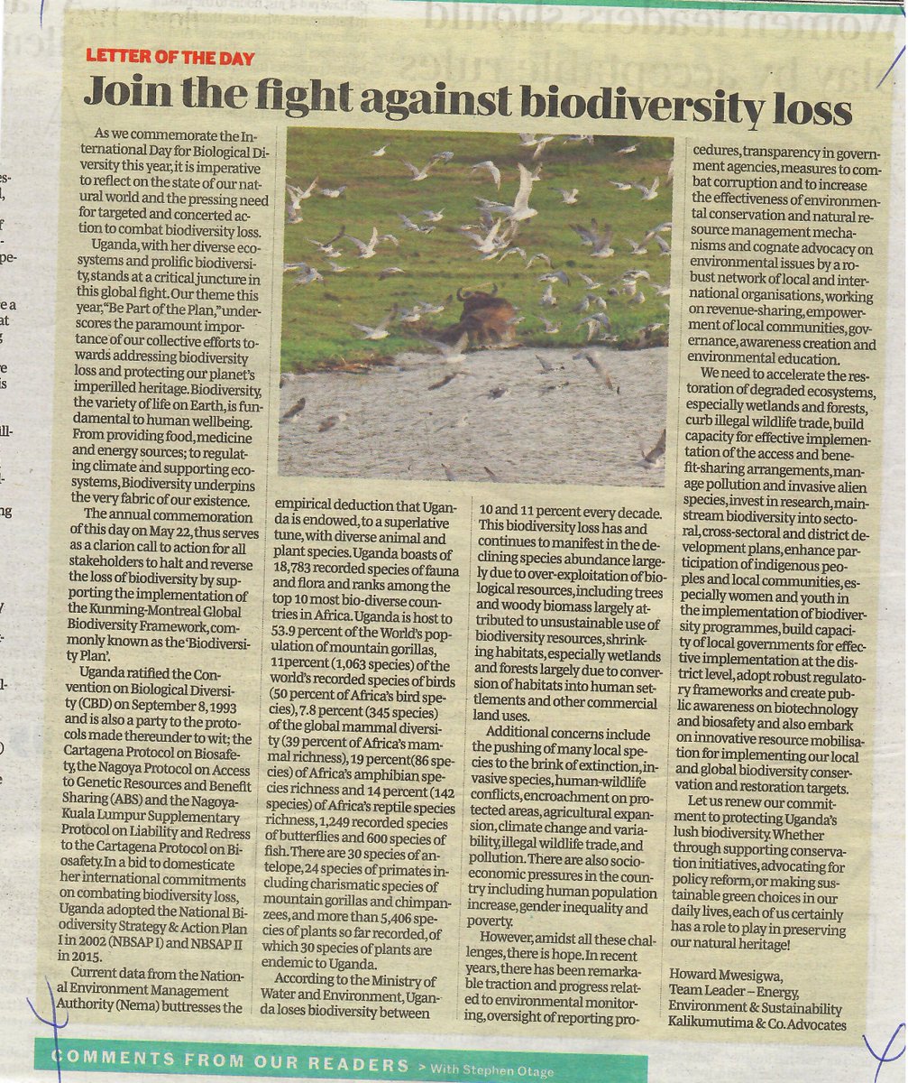 On #BiodiversityDay be part of the plan. Join the fight against biodiversity loss and help ensure a healthy and thriving planet. @AfiegoUg @AfricanConserve @YGCUganda @CERAIUg #BiodiversityMatters #FightForNature Read more;monitor.co.ug/uganda/oped/le…