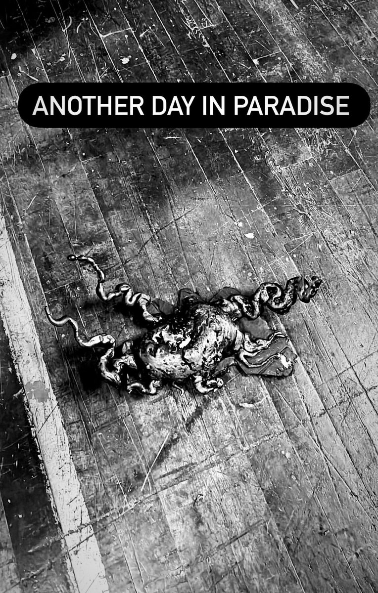 Barbara Crampton tweet media