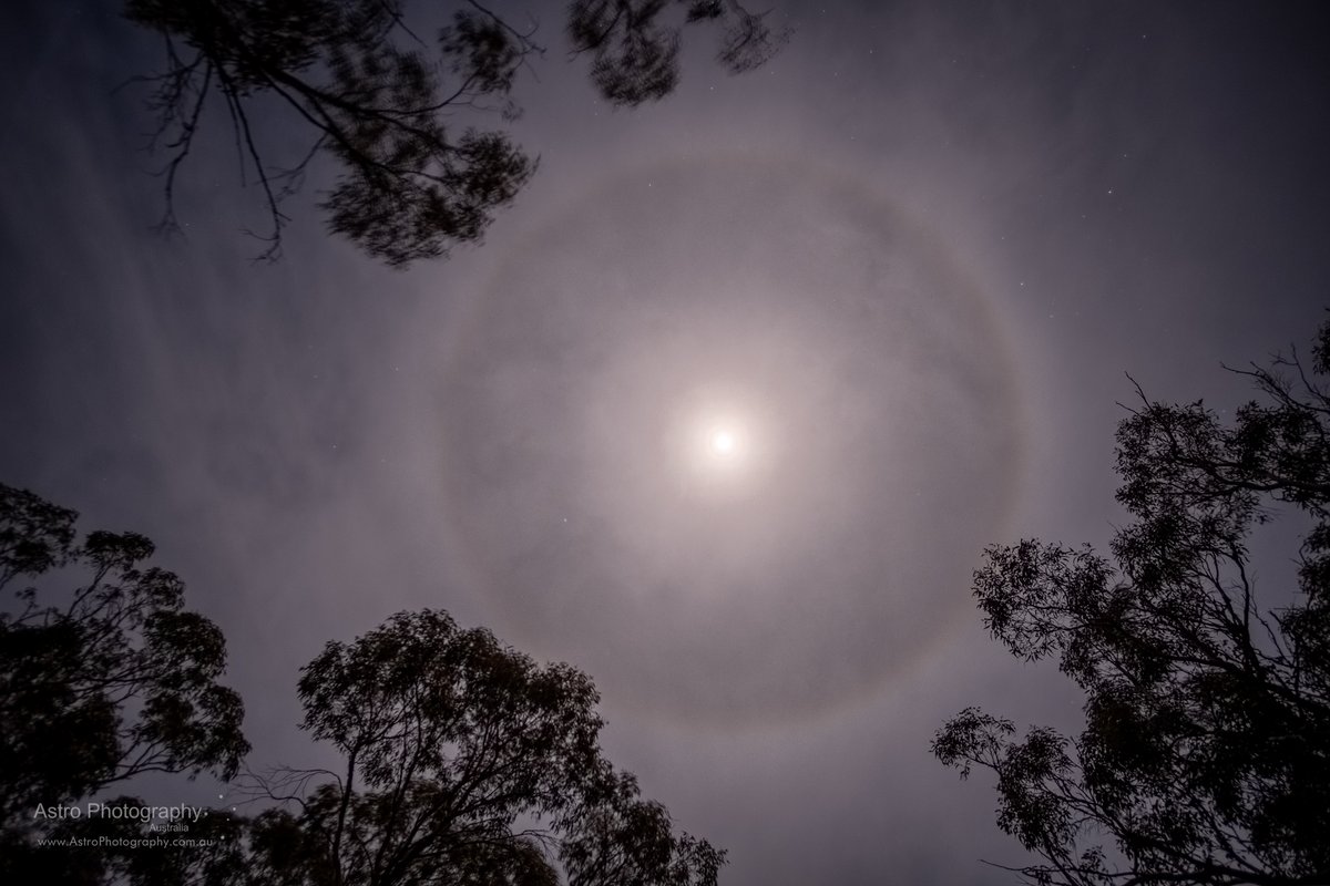 We've had a number of emails and phone calls about a cool #halo around the #Moon the past few nights. This image was taken by one of our volunteers @roger_groom from #AstrophotographyAustralia.

#Perth #WA #perthnews #wanews #communitynews #westernaustralia #moonlight #fullmoon
