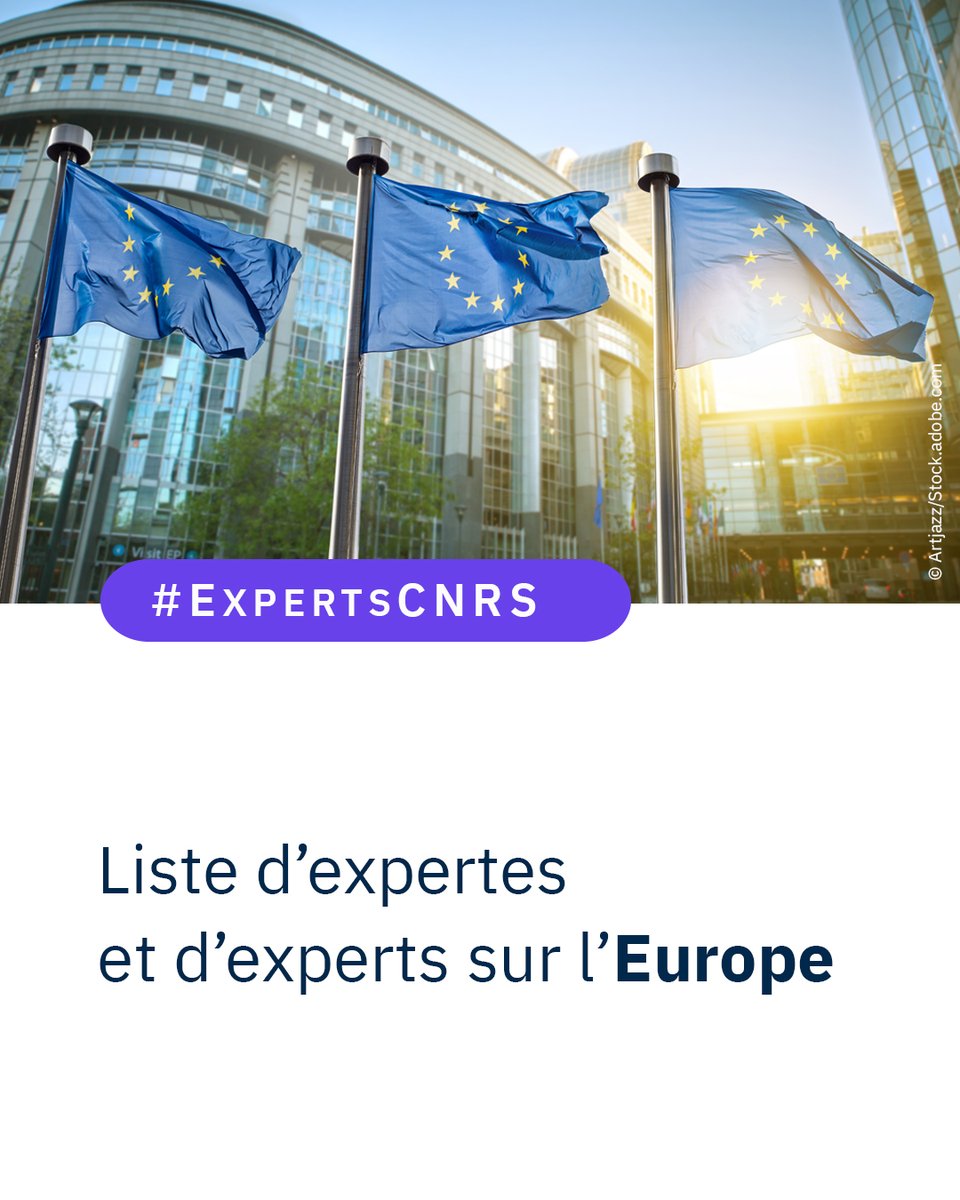 #ExpertsCNRS 🔎 Journalistes, à l'approche des élections européennes de 2024 🗳️, le service presse du @CNRS vous propose une liste de spécialiste sur l'Europe 🇪🇺. 👉 cnrs.fr/fr/presse/list…