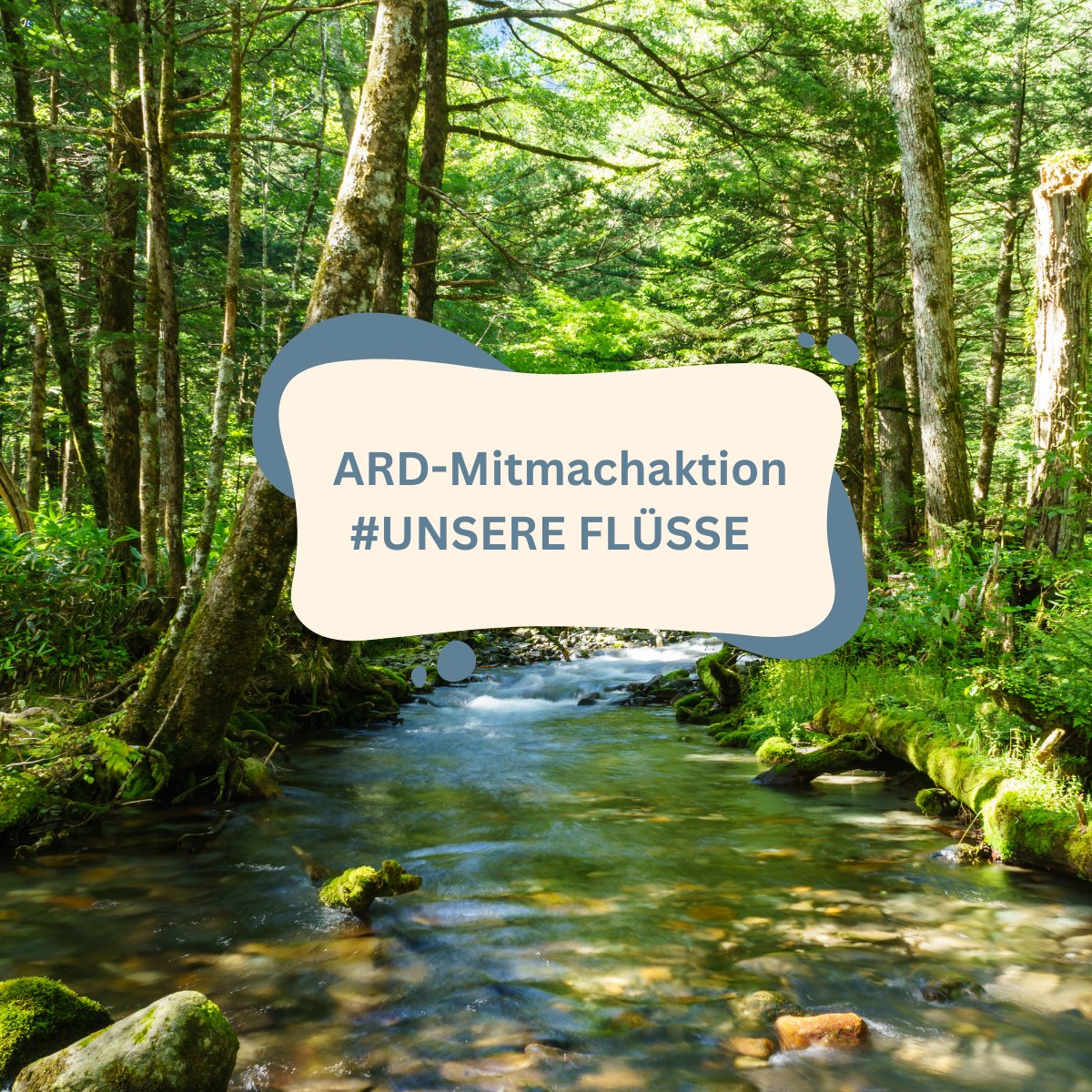 Untersucht unsere Bäche! Die ARD-Mitmachaktion #unsereFlüsse ruft dazu auf, kleine Flüsse und Bäche zu erforschen. Die Bach-Begutachtungen werden veröffentlicht, zudem werden 30 Bäche ausgewählt, die von UDE-Forschenden untersucht werden. uni-due.de/2024-05-22-ard…