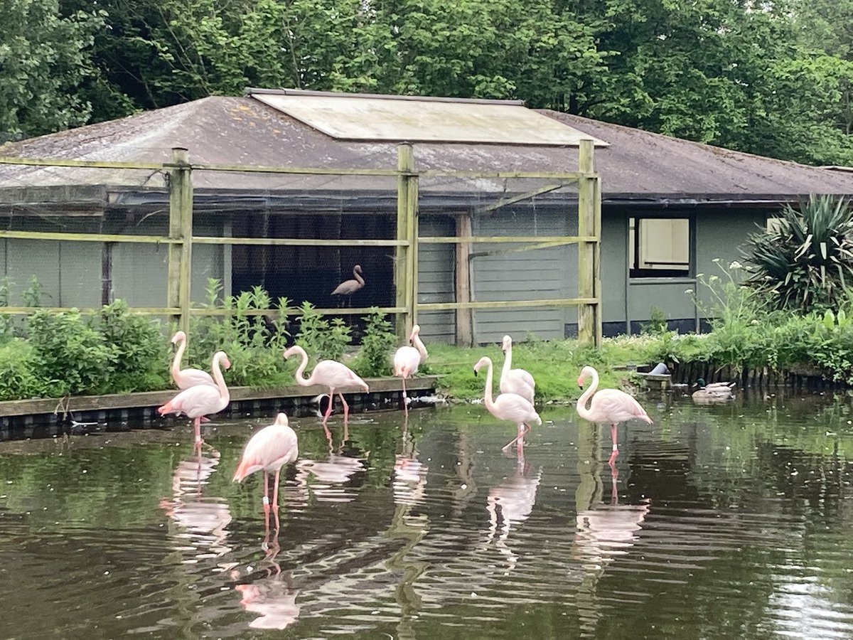 MarketplaceandI's tweet image. Had a very fun time @WWTMartinMere on Monday discussing all things #Accessibility and recruiting some new trainers at the same time!🦩🦩🦩 #AbilityOverDisability