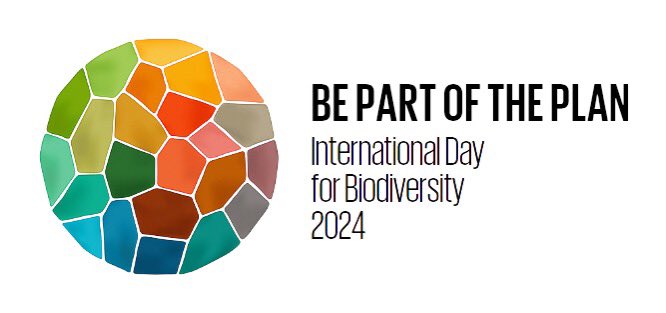 #IBD2024
#BePartofthePlan