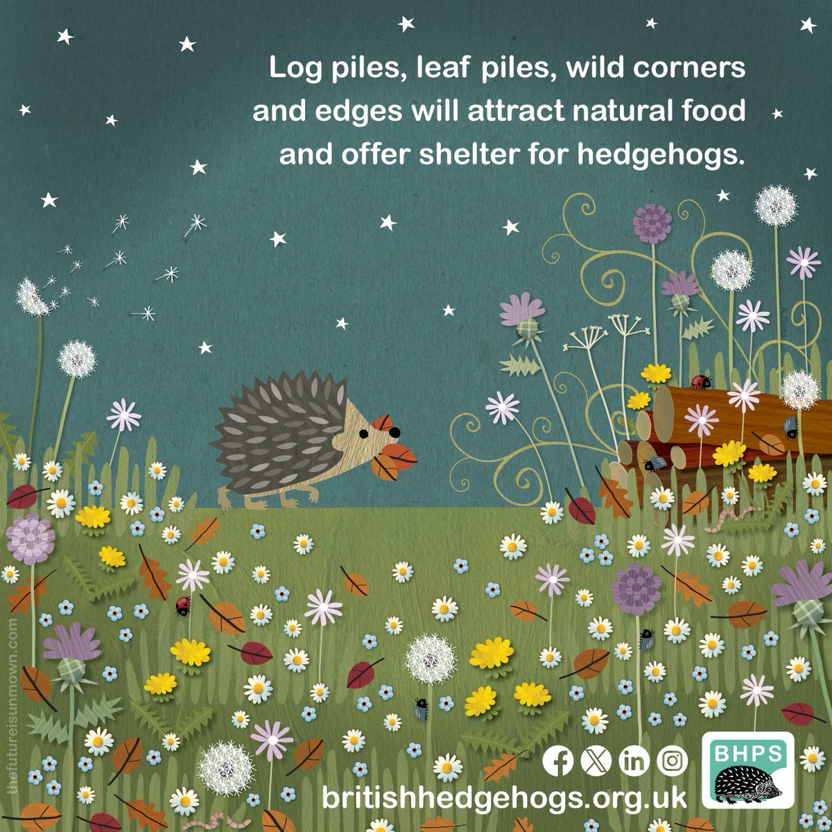 Letting your garden go a little bit wild is a brilliant thing to do for British wildlife like #hedgehogs!
🦔 🐝 

Think leaves, logs & letting the grass grow long with wildflowers & weeds!
🌼 🍂 🌾 

Show us your wildlife garden ideas below 👇 

#InternationalDayForBiodiversity