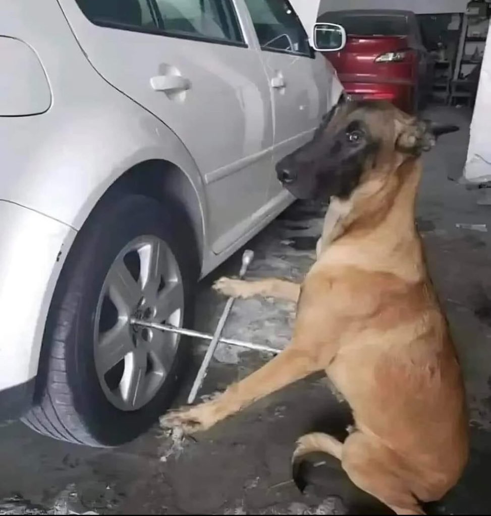 Retired Elder Rex M.E Midzi tweet media