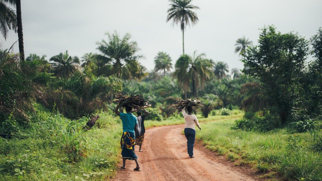 🌱 This #BiodiversityDay join us in celebrating the first cohort of REDAA-suported initiatives! 21 locally led research-to-action projects from across the 🌏 that improve evidence, tools and governance to help people and #nature thrive. Meet them ➡️ redaa.org/grantees