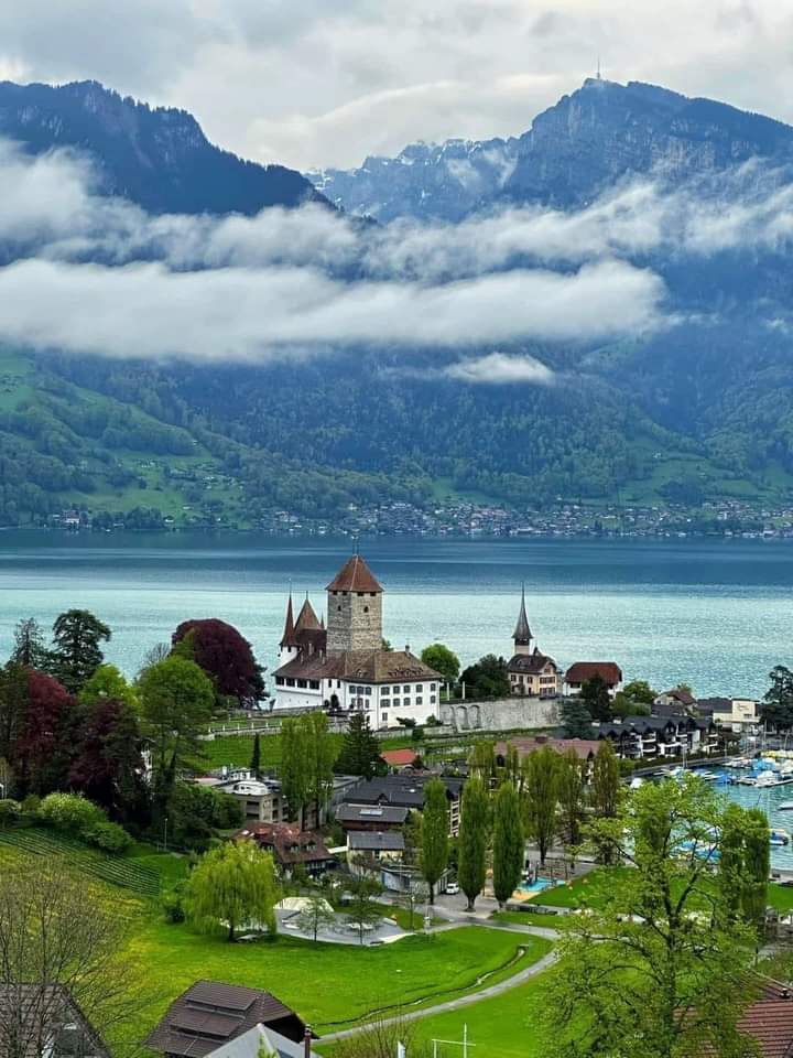 Nature lover- Switzerland 🇨🇭 💦
#beautifulnature #naturelovers #NatureUSA  #tripadvisor #traveler #tours #nature #trip