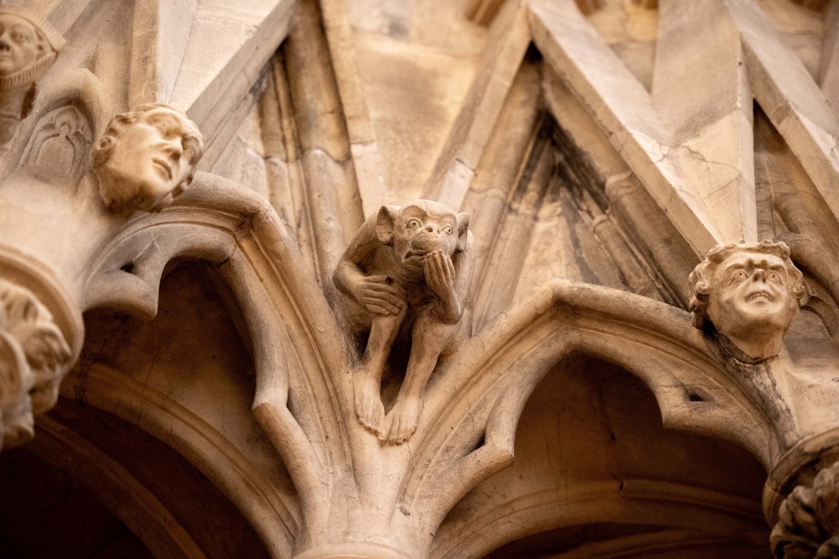 Find the unexpected at York Minster... Explore the heights of our Chapter House Roof and Masons loft, or journey below to discover our ancient foundations in the Early Crypts. Learn more about our Hidden Minster Tours at: yorkminster.org/visit/plan-you…