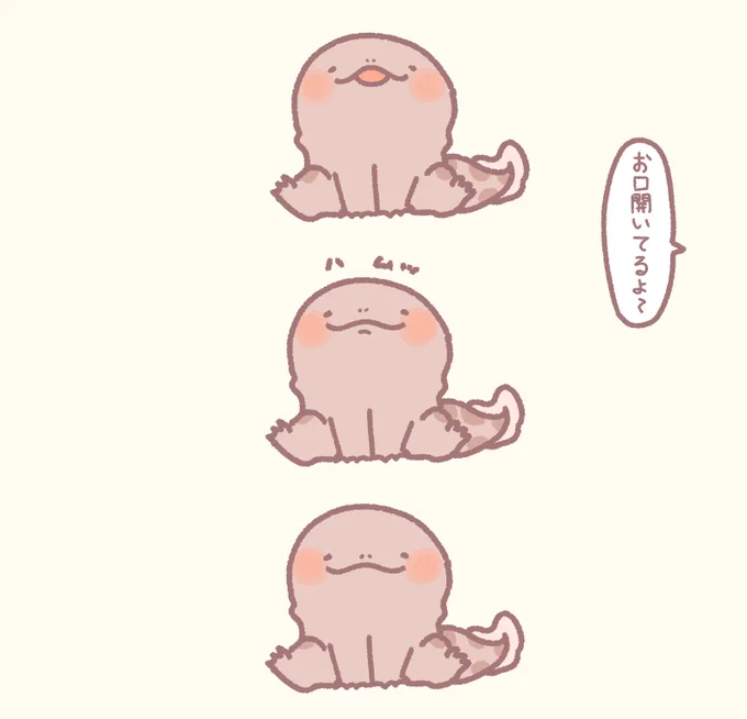 オオサンショウウオのさんちゃん 