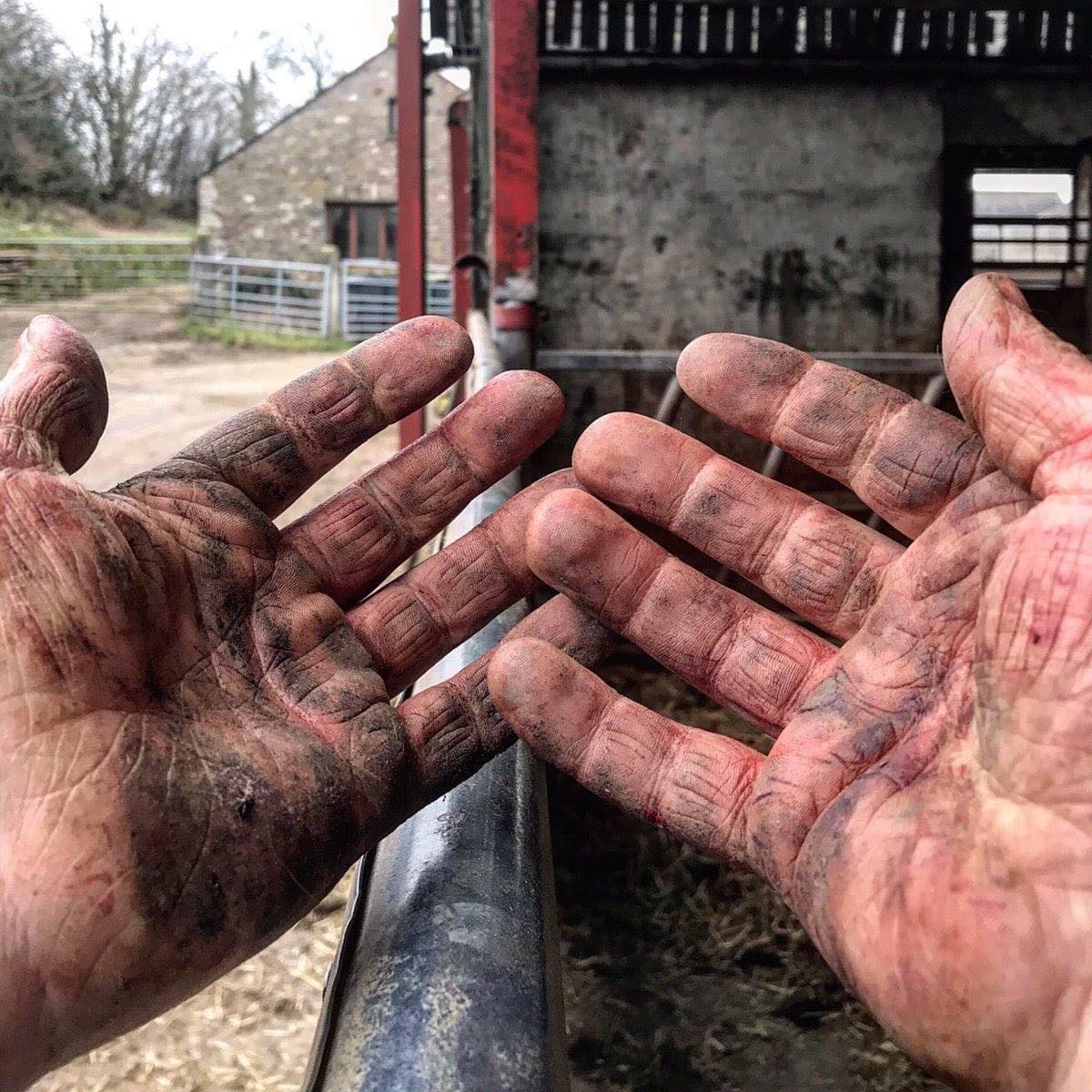This is why farmers never have an upset stomach - natural immunity 💪🏼😉 📹 Insta: jrfromstrickley