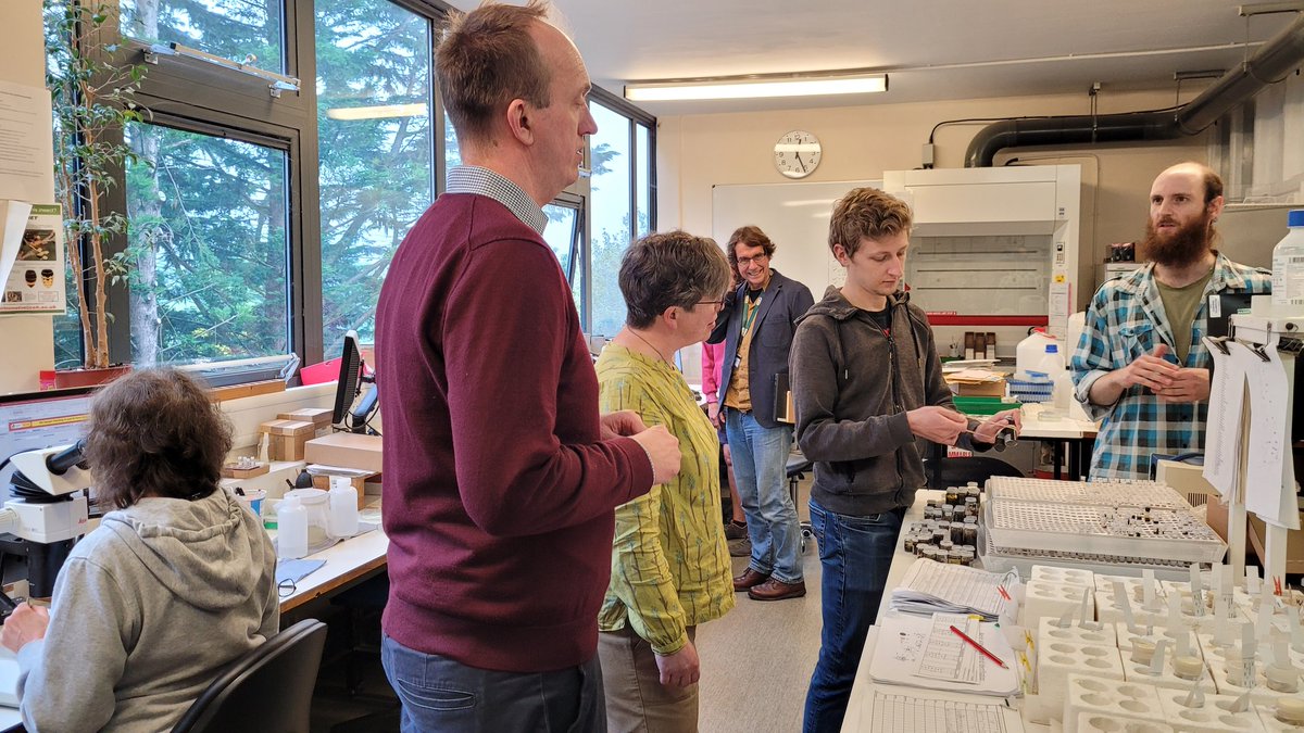 So pleased to have @RoyEntSoc visit @Rothamsted yesterday! Here with the incredibly brilliant taxonomists at @Rothamsted_RIS celebrating 60 years of continuous, standardised monitoring of migrating insects (especially aphids)!!