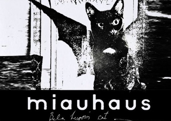 Happy world goth day! 🖤