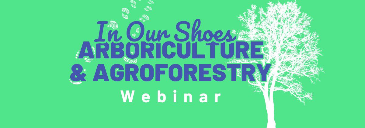 Youth4Climate tweet media