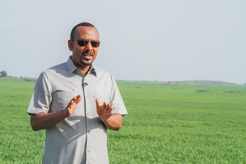 Ethiopian wheat fields stand tall, waving a banner of success. The story of our bountiful harvest is written in golden stalks, echoing across the nation. #Fast_Growing_Ethiopia #HardWorking_Hands@WorldBank @WorldBankAfrica @UN @WFP @MikeHammerUSA