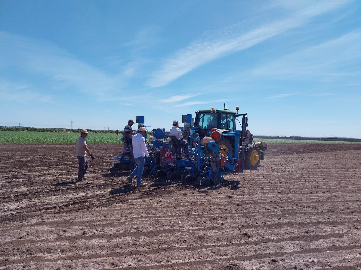 HelEx Project tweet media