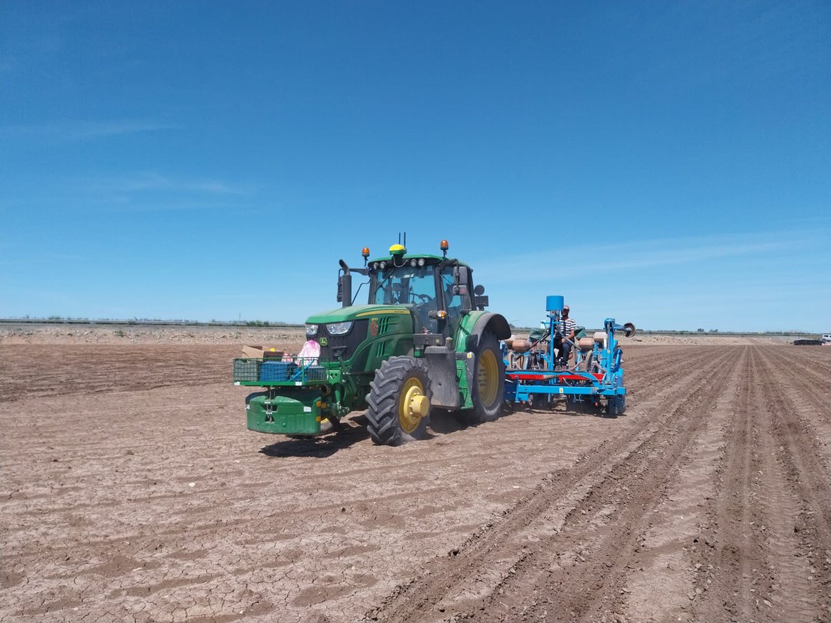 HelEx Project tweet media