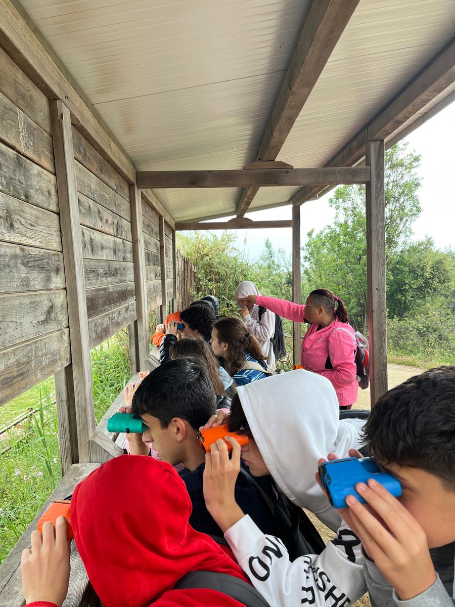 Col·legi Sant Miquel tweet media