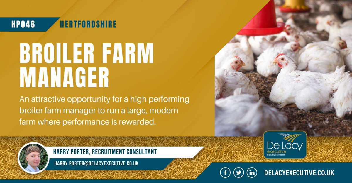 Interested in taking the reins of a broiler growing operation?

This family-run business is seeking an experienced #FarmManager to join the team and carry their commitment to high welfare standards and achieving production targets.

Apply today: delacyexecutive.co.uk/jobs/hp046-bro… 

#UKJobs