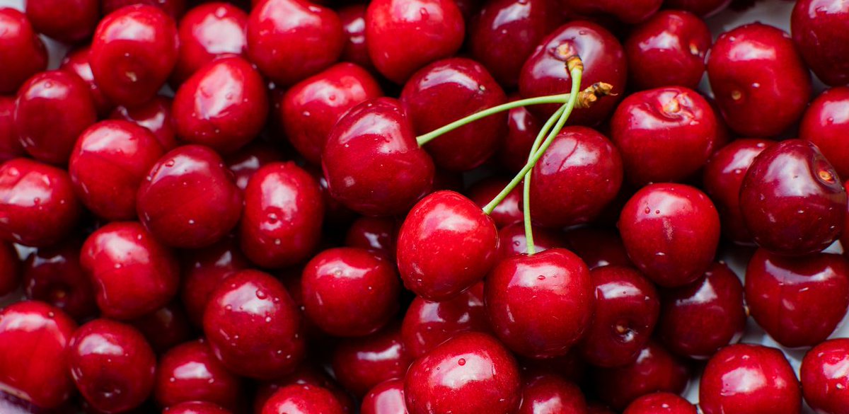 🍒Nova campanya de promoció de la patata nova i de la cirera, de l’Acord del Codi de Bones Pràctiques al llarg de la Cadena Alimentària de Catalunya

Un dels objectius d’aquestes campanyes és posar en valor les qualitats d’aquests productes.

ow.ly/K3HE50RQv40