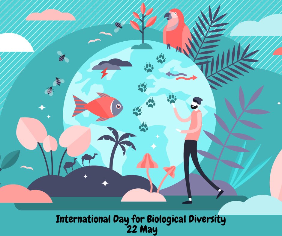 The ozone layer protects all life on Earth from damage caused by too much UV radiation. Safeguarding the ozone layer through the #MontrealProtocol is therefore crucial to help protect biodiversity 🐟🌿🐞 bit.ly/3wRKpfi #BiodiversityDay 🐝#PartOfThePlan @UNBiodiversity