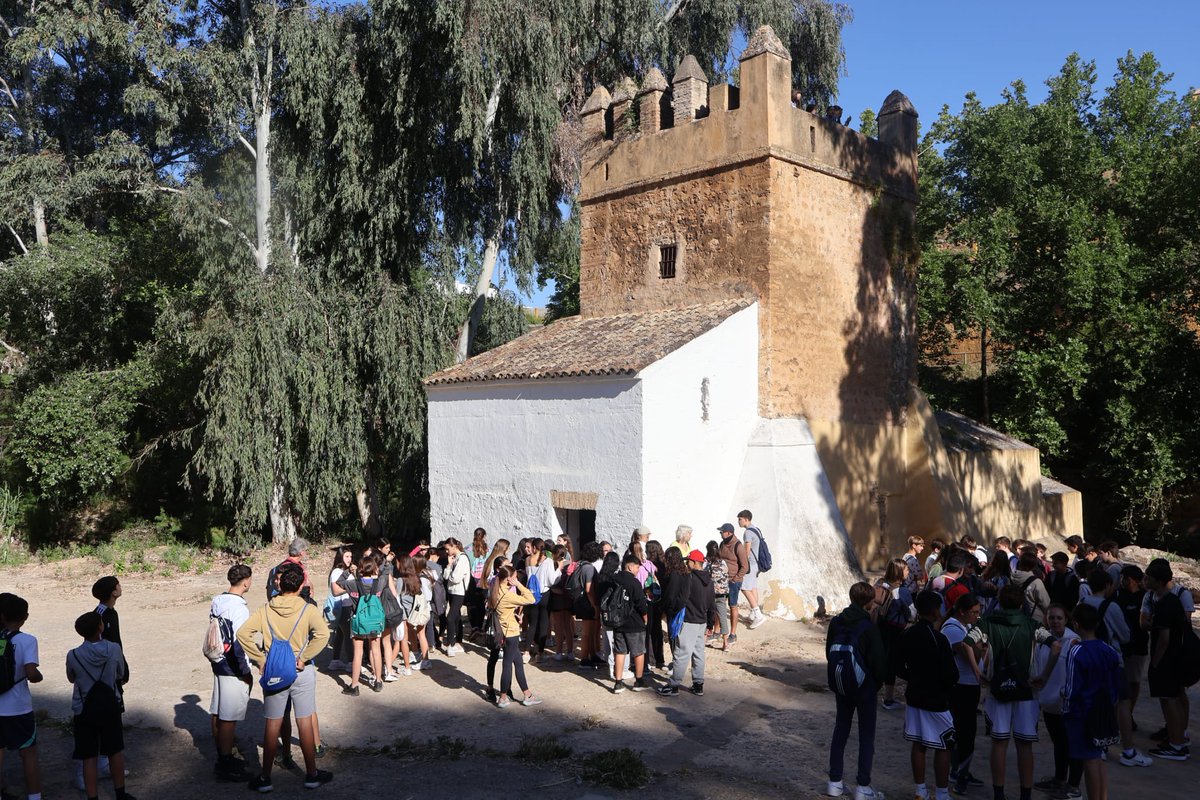 Alcalá de Guadaíra tweet media