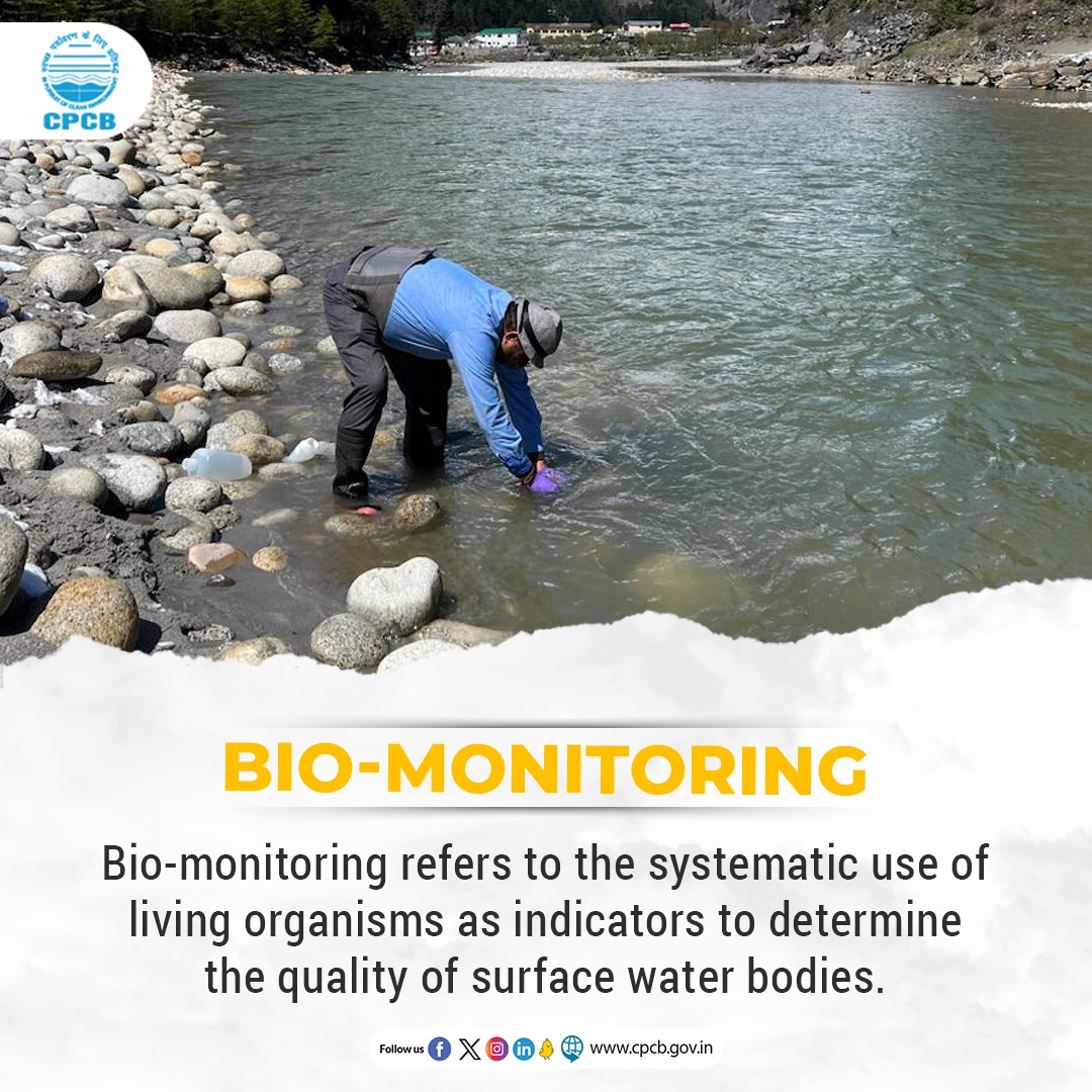 Central Pollution Control Board (CPCB) alongwith State Pollution Control Board (SPCB) carries out Bio-monitoring in various rivers across the country. #BioMonitoring #Environment #WaterQuality #AquaticLife @moefcc @mygovindia @PIB_India