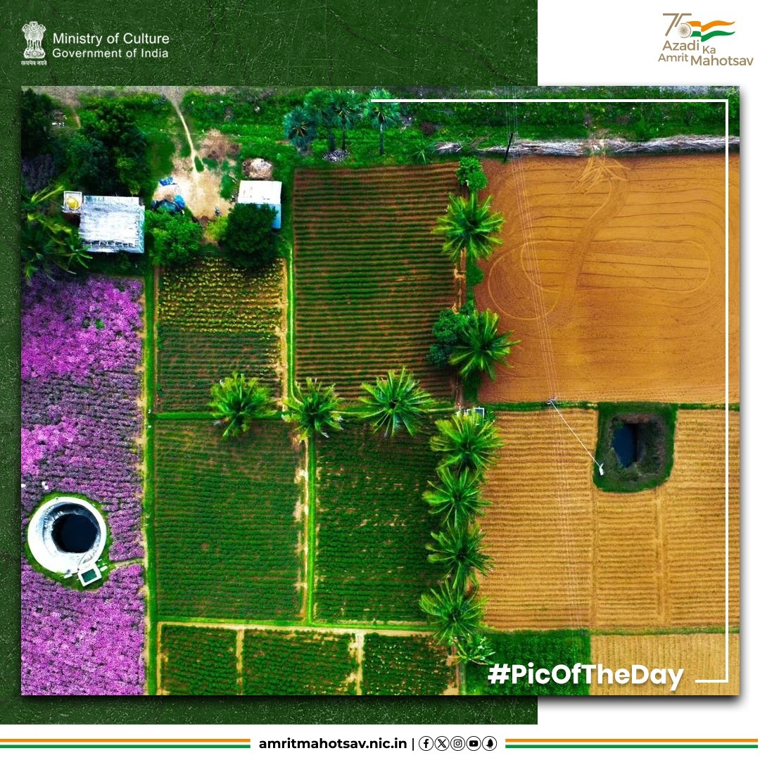 Nature's bounty! 📍Tamil Nadu #AmritMahotsav #PicOfTheDay📸 #InternationalDayOfBiologicalDiversity #CulturalPride #CultureUnitesAll #MainBharatHoon IC: spoorthi.gupta (Instagram)