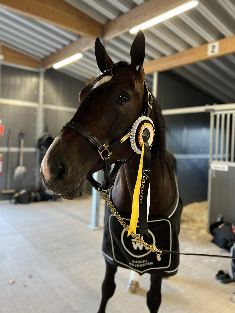 Macao Keeper tar livets första seger! Tidigt till ledningen och därifrån går han undan till en säker seger! Segertid: 14,9a 2140m Ägare: Ofcourse KB Skötare: Anna Hägglund