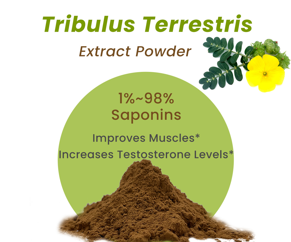 IngredientsSUPL's tweet image. Tribulus Terrestris extract offers remarkable benefits especially for men's health! 💪
High-quality tribulus terrestris extract, our factory supply.
#TribulusTerrestris #MensHealth
Specification1: Ratio Extract
Specification2: Saponins 1%~98%
ingredientssupply.com/standard-extra…