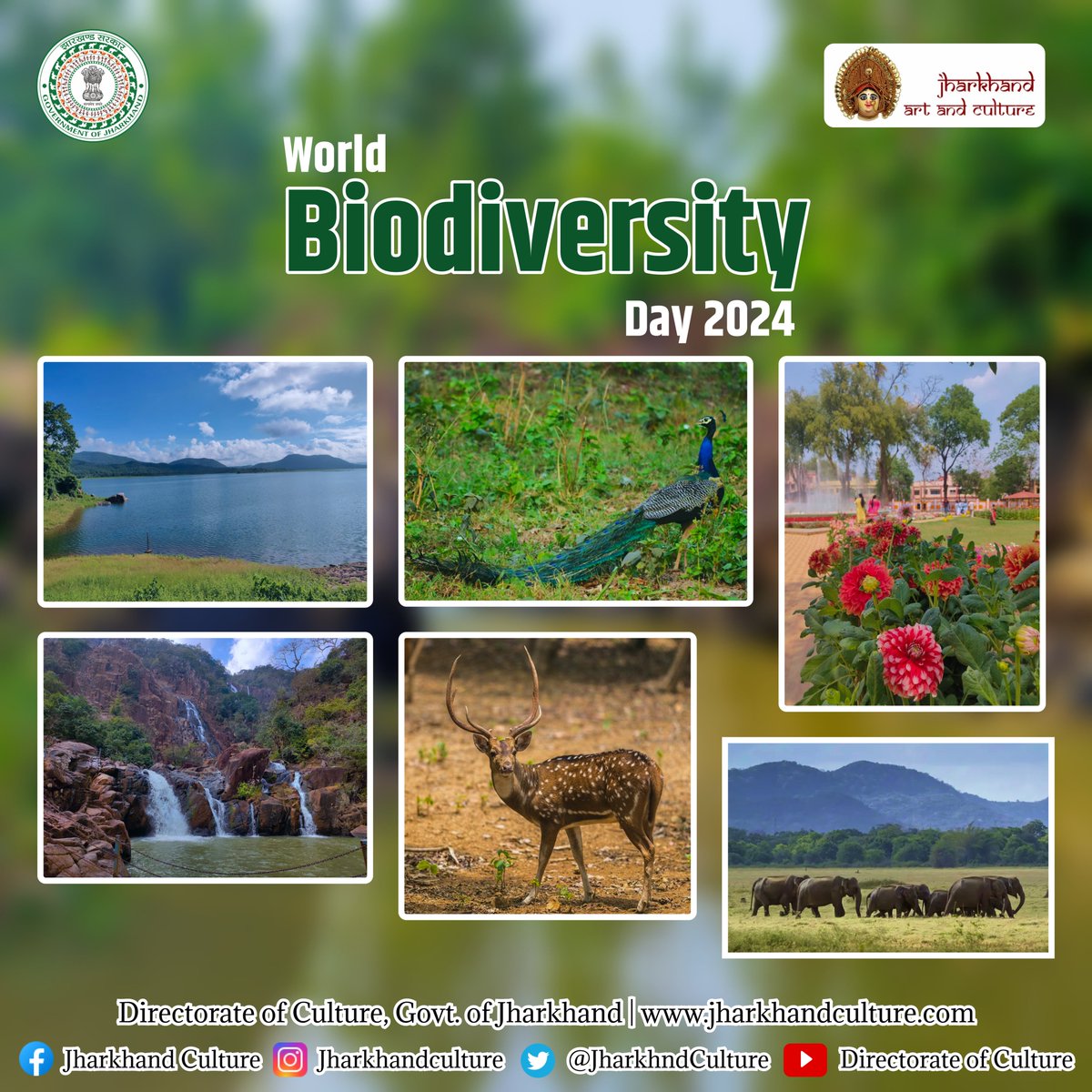 'Celebrate World Biodiversity Day 2024: Embrace Nature's Tapestry, Protect Our Planet's Rich Heritage!'
.
.
#WorldBiodiversityDay #Biodiversity2024 #ProtectOurPlanet #NatureConservation #BiodiversityMatters #SustainableFuture #EcoFriendly #SaveOurSpecies