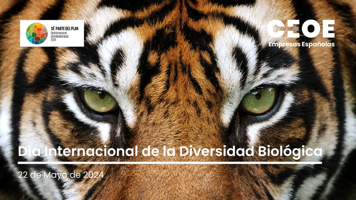 CEOE_ES's tweet photo. ¡Feliz Día Internacional de la #Diversidad Biológica!🎉🐯#Separtedelplan

El 'Plan de Biodiversidad' busca detener la pérdida de la #naturaleza🌱al 2050

Informe CEOE➡“Guía para #empresas sobre la Convención de Naciones Unidas sobre Diversidad Biológica”🗞https://t.co/uIZKsHnz7W https://t.co/oJk2MoijMi