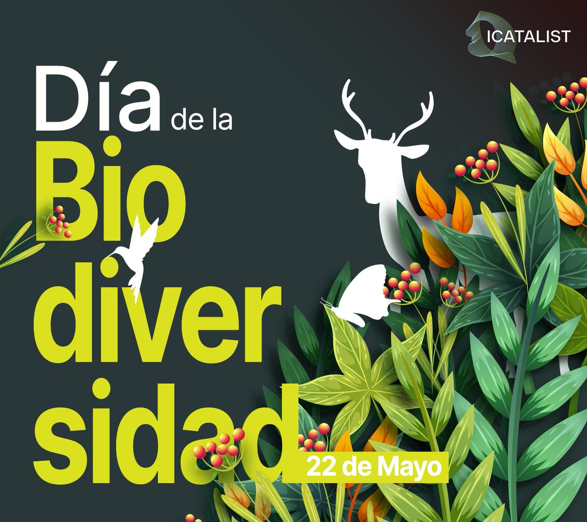 🌿 On the Biodiversity Day, let's celebrate the variety of life on our planet and renew our commitment to its protection and restoration. Let's work together for a sustainable future for all species! 🌍 #BiodiversityDay #SustainableRecovery #ICATALIST