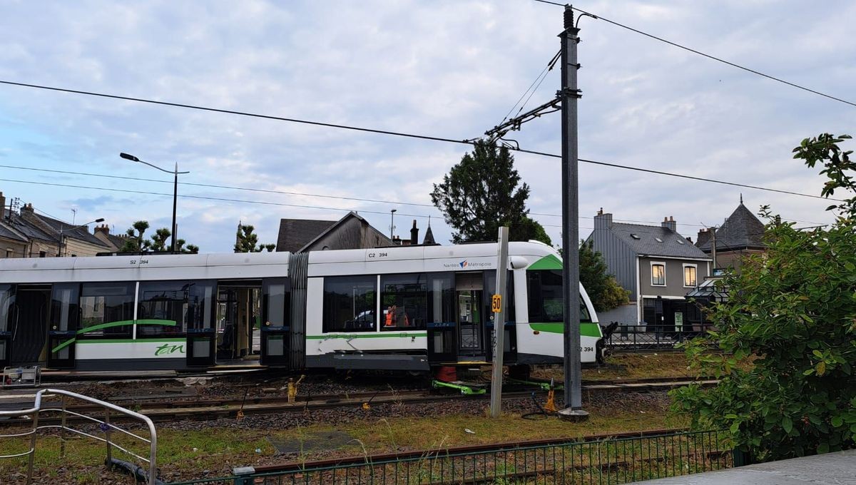 FO Naolib Semitan ✊🚍🚊 tweet media
