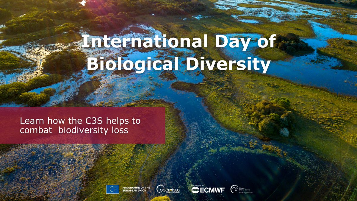 🌍🌿Threats to #biodiversity, such as #ClimateChange, require proper management of ecosystems. On the International Day of Biological Diversity, we wish to highlight the role that the #C3S plays in combating biodiversity loss. Learn more here 👉 bit.ly/C3S-biodiv