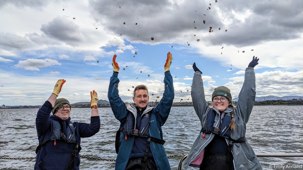 Recent research suggests that oyster bed restoration could double biodiversity in a 10-year period! #RestorationForth & volunteers have returned nearly 20,000 oysters into the Forth so far, aiming to provide thriving habitats for a wide range of marine life. 💙 #BiodiversityDay