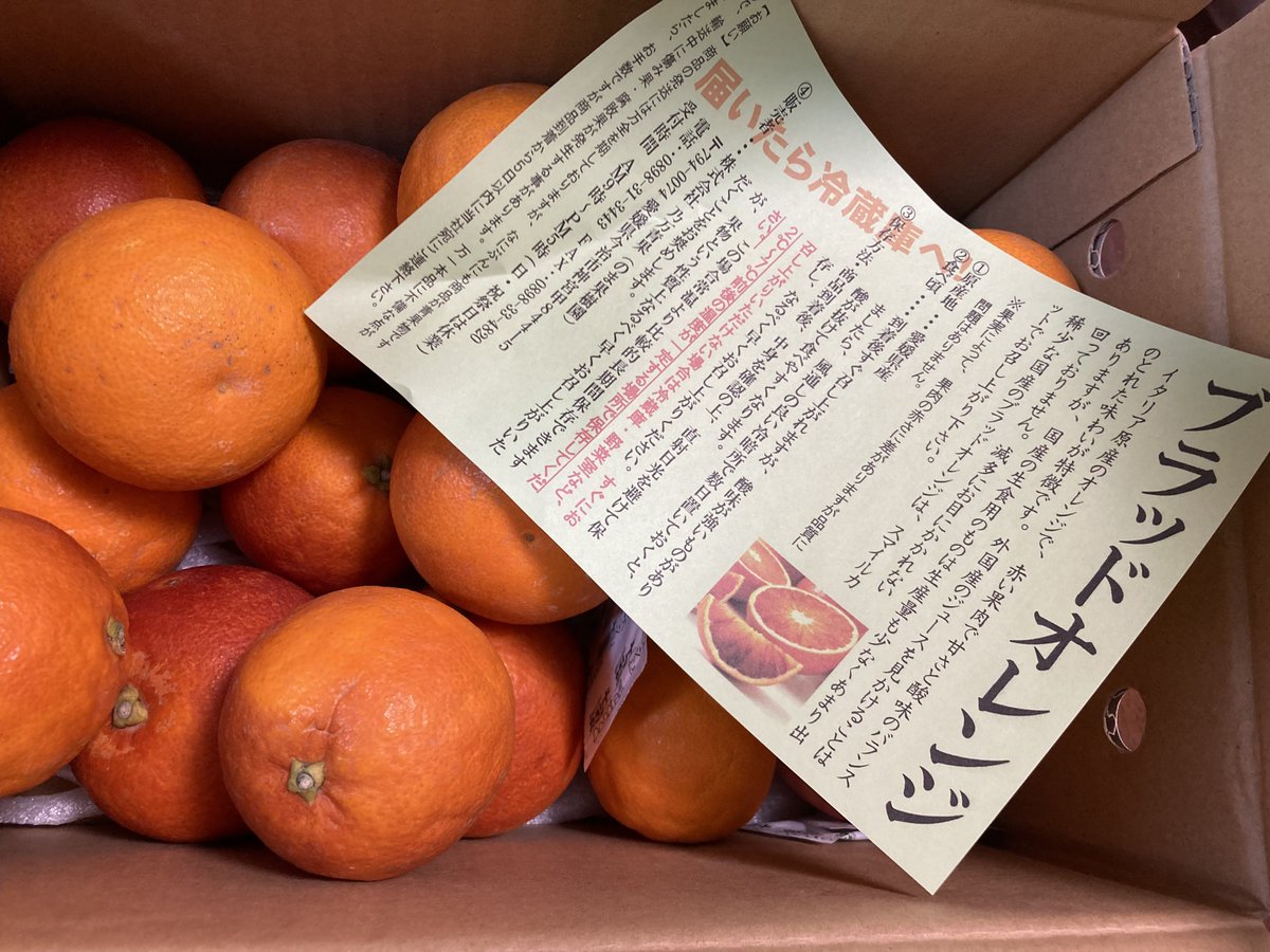 選べる定期便のブラッドオレンジが届きました🍊冷蔵庫に入れる前に1個食べたら物凄くジューシーで甘くて美味しかったです❣️のまさんの果物は絶対に美味しいから毎月楽しみにしています。 #のま果樹園