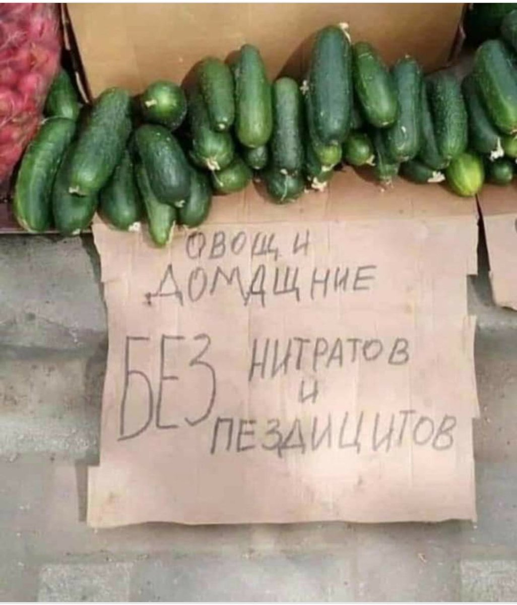 Пост без политики. Пришла весна, ешьте овощи