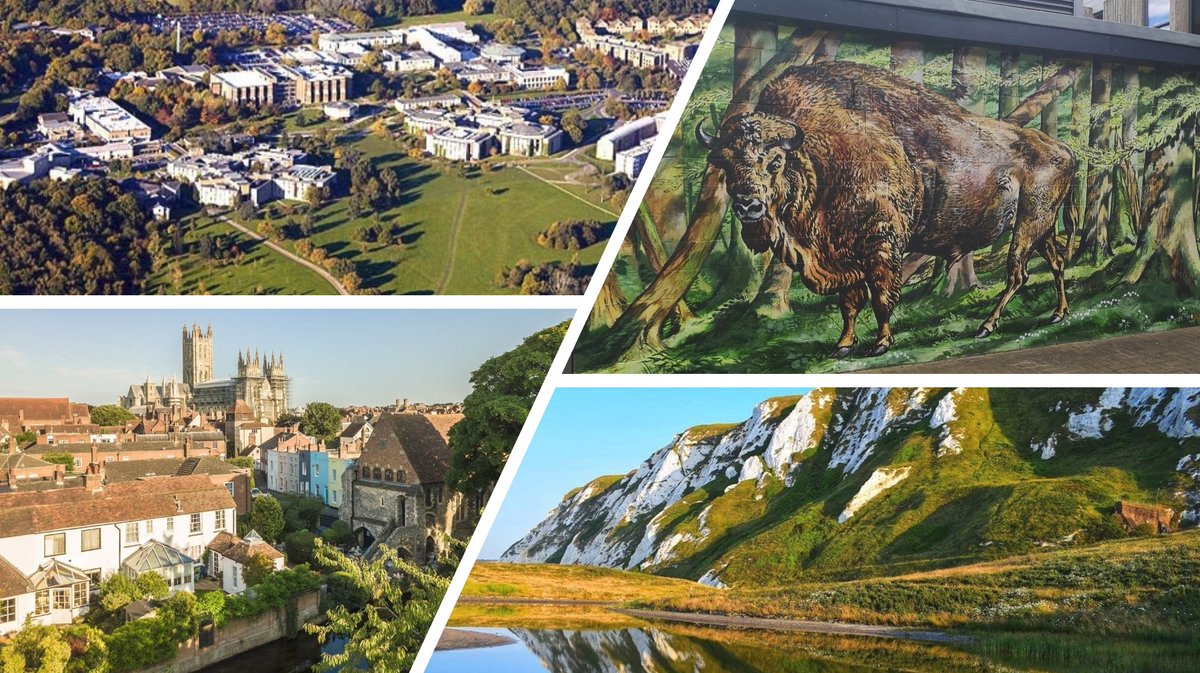 Last chance to apply for a 5-year Conservation Research or Innovation Fellowship @DICE_Kent. 7 jobs available to join a friendly team! Deadline is now Monday 27th May ...link follows.... /1