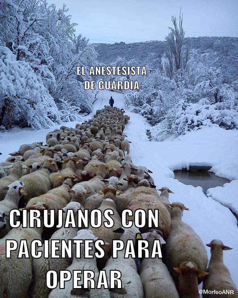 MorfeoANR's tweet photo. FELIZ MIÉRCOLES DE GUARDIA 🙌🏽
 a TODES 👨🏼‍⚕️🧑🏽‍⚕️👩🏽‍⚕️🧑🏿‍⚕️👨🏽‍⚕️👩🏼‍⚕️

MENOS a los CIRUJANOS 🚫🔪 https://t.co/h0VvvVfDPO