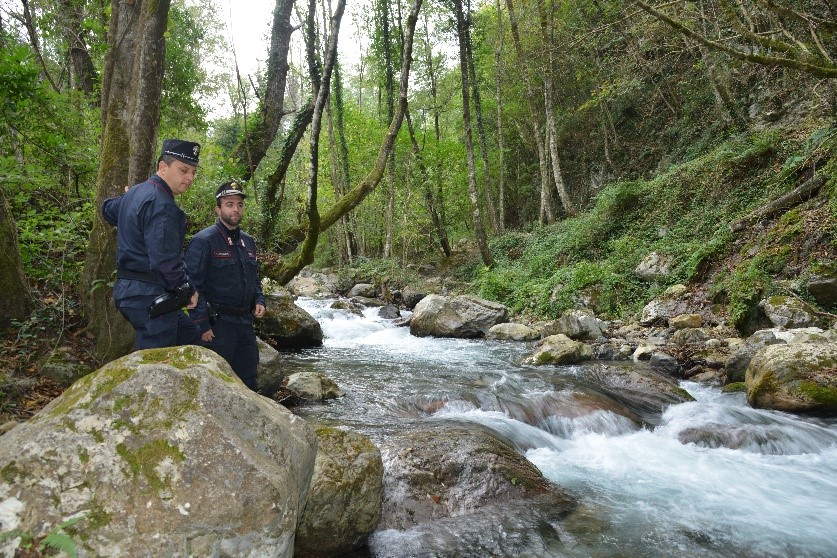 Con i loro 28 Reparti per la #Biodiversità, i #Carabinieri amministrano 149 riserve statali e aree demaniali. Un impegno quotidiano per custodire un capitale inestimabile e consegnare alle generazioni future un ambiente integro #PossiamoAiutarvi #BiodiversityDay