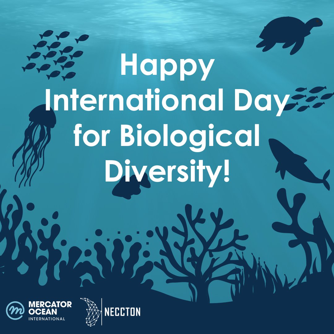 🌊🌿 Happy International Day for Biological Diversity! 🌍 At Mercator Ocean, we're proud to contribute to the understanding & monitoring of #MarineBiodiversity through @NECCTON, a 4-year initiative funded under #HorizonEurope and recently endorsed by the @UNOceanDecade