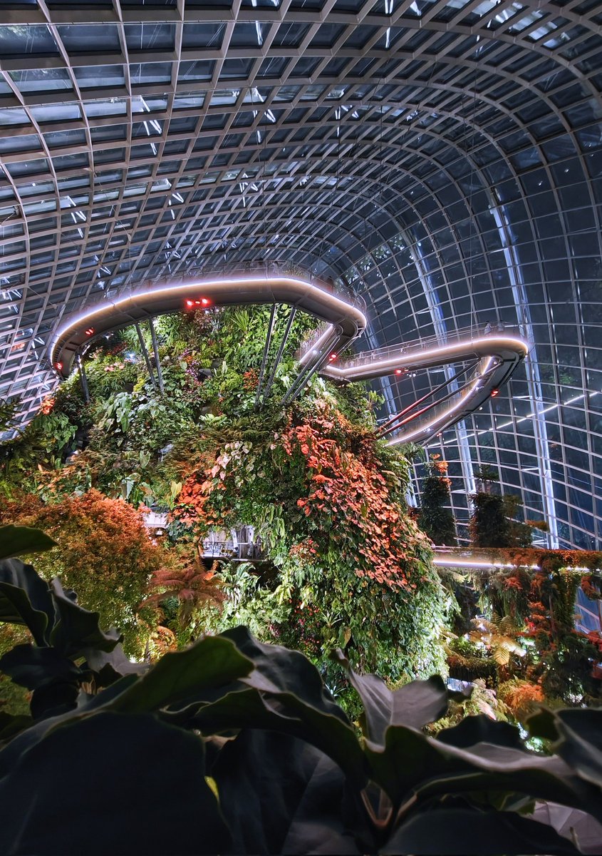 Futuristic looking cloud forest @GardensbytheBay Combination of nature and architecture 

Taken with OPPO Find X7 Ultra 
#ShotonOPPO
#OPPOImagineIF
#ShotonSnapdragon
#Snapdragoninsiders