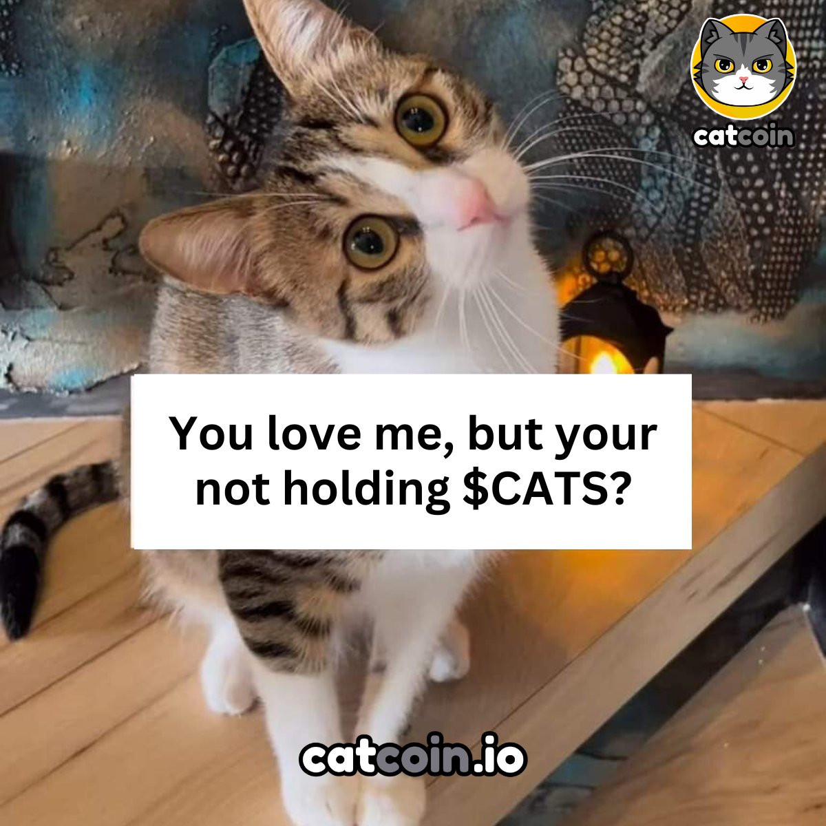 Don't confuse your furry loved ones. Hold $CATS and go #tothemeoown. 

#Catcoin