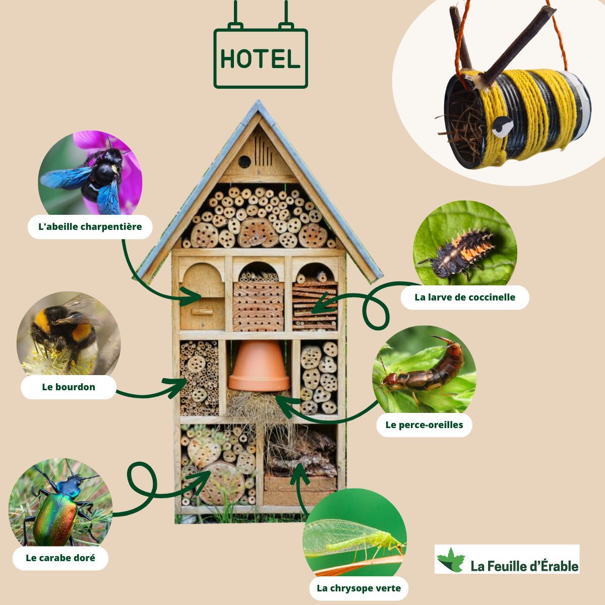 La Feuille d'Erable (@lafeuilleerable) on Twitter photo 🐝 En cette #journéeinternationale de la #diversité #biologique, contribuons à protéger ces espèces utiles !
🏨 Une boîte de conserve percée afin de la suspendre, le fourrage de votre choix afin d'accueillir l'espèce que vous souhaitez abriter et il ne reste plus qu'à décorer ! 🐝 En cette #journéeinternationale de la #diversité #biologique, contribuons à protéger ces espèces utiles !
🏨 Une boîte de conserve percée afin de la suspendre, le fourrage de votre choix afin d'accueillir l'espèce que vous souhaitez abriter et il ne reste plus qu'à décorer !