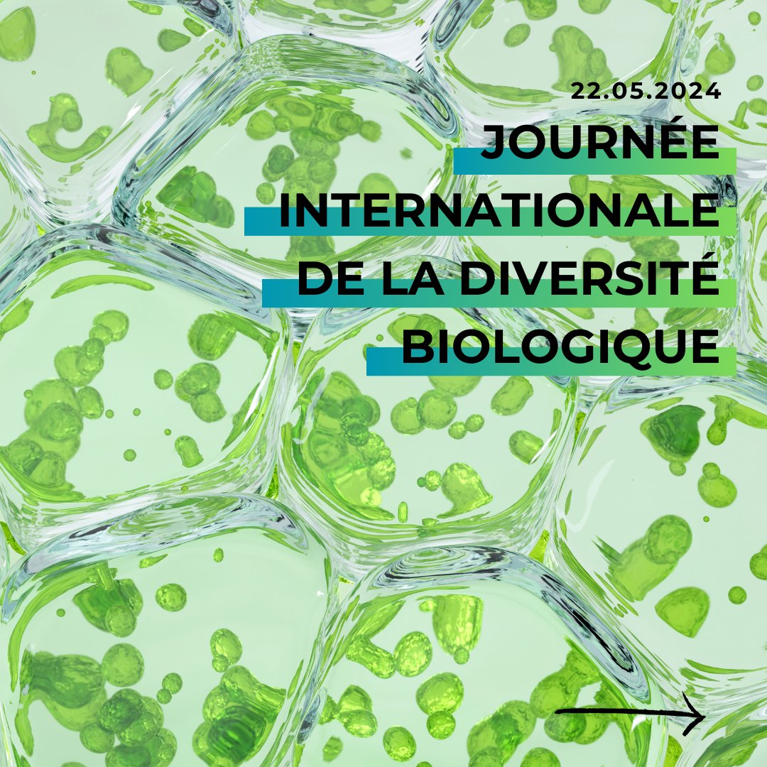 CPIE_Tarn's tweet photo. 22/05 – La diversité biologique, ou biodiversité, englobe la variété des formes de vie sur Terre, des organismes microscopiques aux plantes, aux animaux et aux écosystèmes entiers. 
#journeeinternationaledeladiversitebiologique https://t.co/Bc45FcRfmz