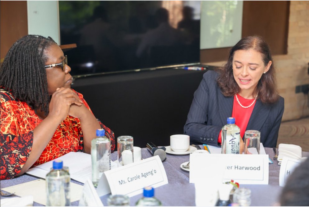 The U.S. welcomes the first-ever UN Civil Society Conference in Africa held in 🇰🇪. 🇺🇸 PermRep to the UN in Nairobi Jennifer Harwood hosted civil society organizations to discuss how to strengthen their voice in the UN Summit of the Future.