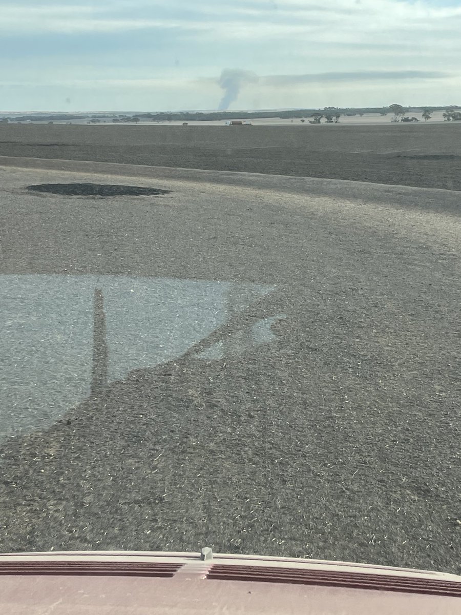 Dean Wyatt tweet media