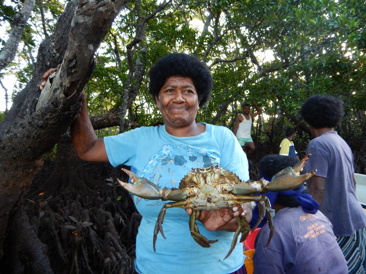 Massive Pacific pride in this new publication published on a 'Value chain analysis of a women-dominated wild-caught mud crab fishery' - we demonstrate the value of looking at value chains through a gender lens. @yashu_12 @spc_cps @WCSocean @wcsfiji onlinelibrary.wiley.com/doi/10.1111/fa…