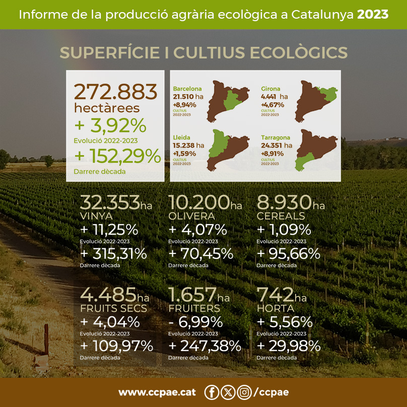 🌾 Superfície ecològica a Catalunya (2023): 283.591 ha ⬆️ +3,92% 🍇 Cultius ecològics a Catalunya (2023): 65.540 ha ⬆️ +6,84% ℹ️ Comunicat i dades completes: bit.ly/dades-eco-cat-…