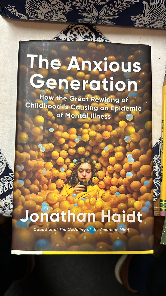This is the summer homework that I’m assigning my office team. We need to understand the problem and address it first the sake of our children.